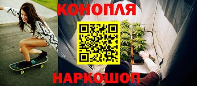 соль ск Бердск