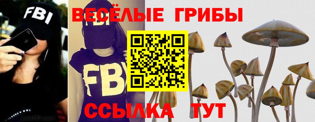 Псилоцибиновые грибы MAGIC MUSHROOMS  Вход с VPN  Псилоцибиновые грибы Psilocybe  Междуреченск 